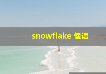 snowflake 俚语